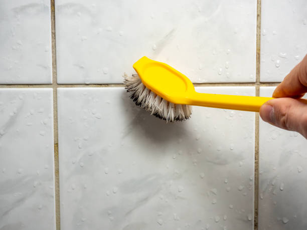 Best Mold Removal and Inspection  in Georgetown, TX