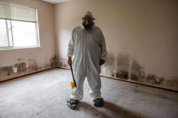 Best Mold Testing  in Georgetown, TX